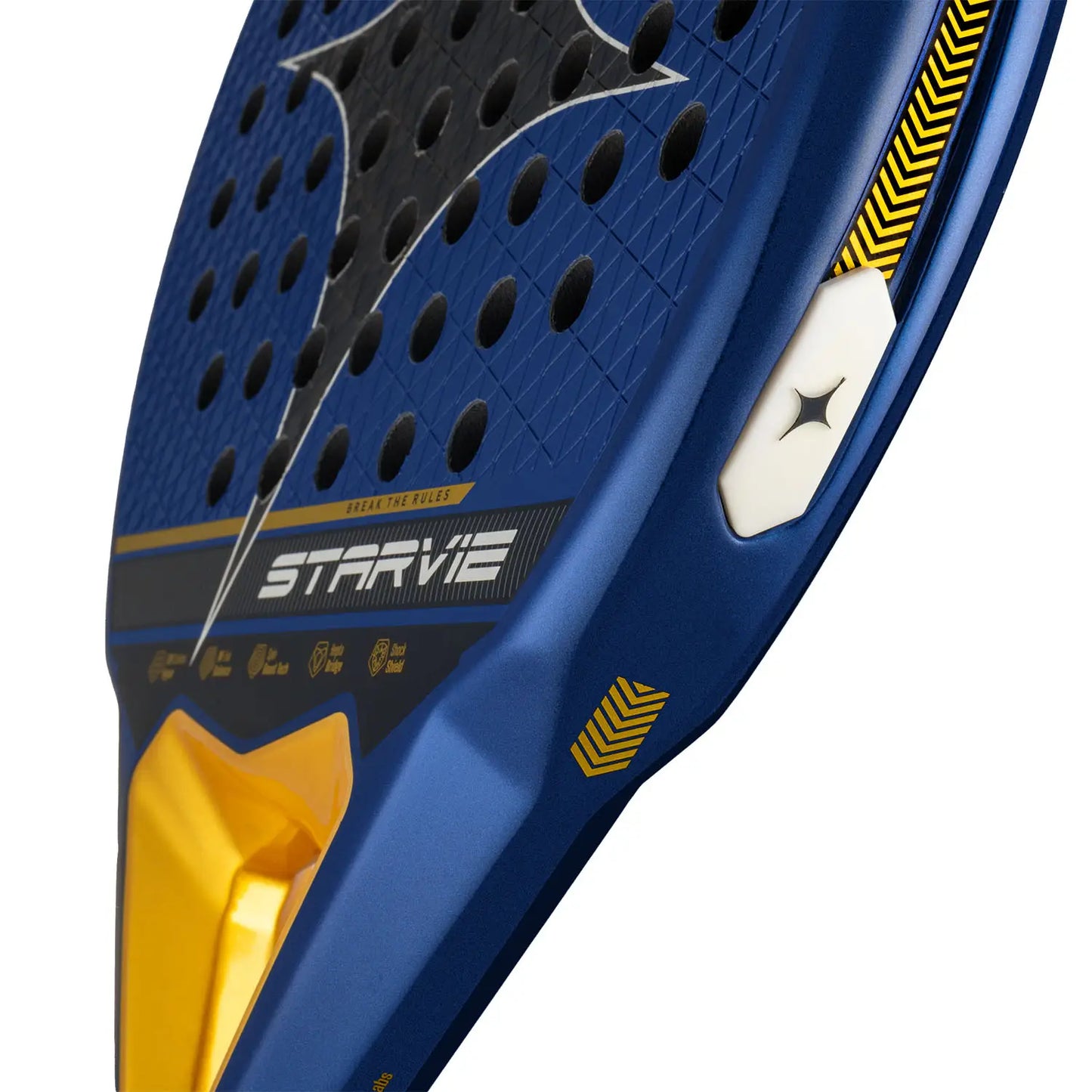 Starvie Drax +