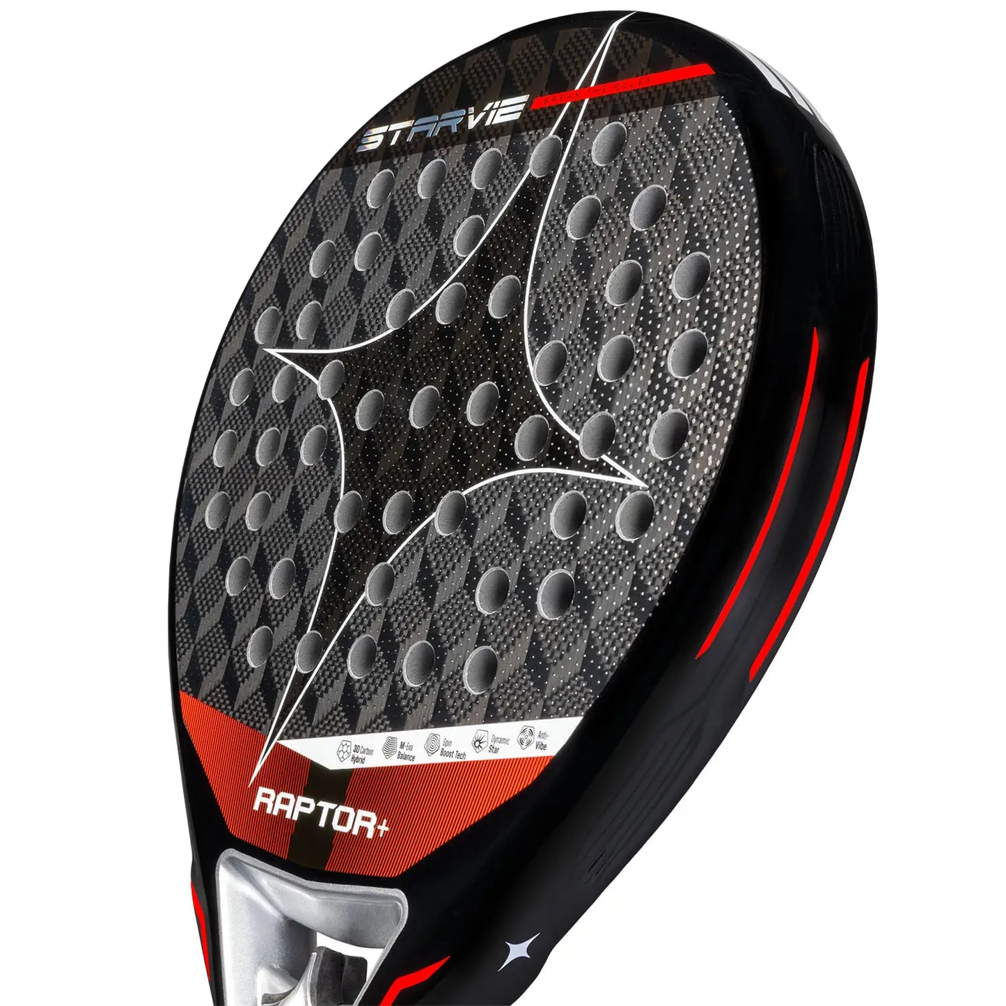 Starvie Raptor +