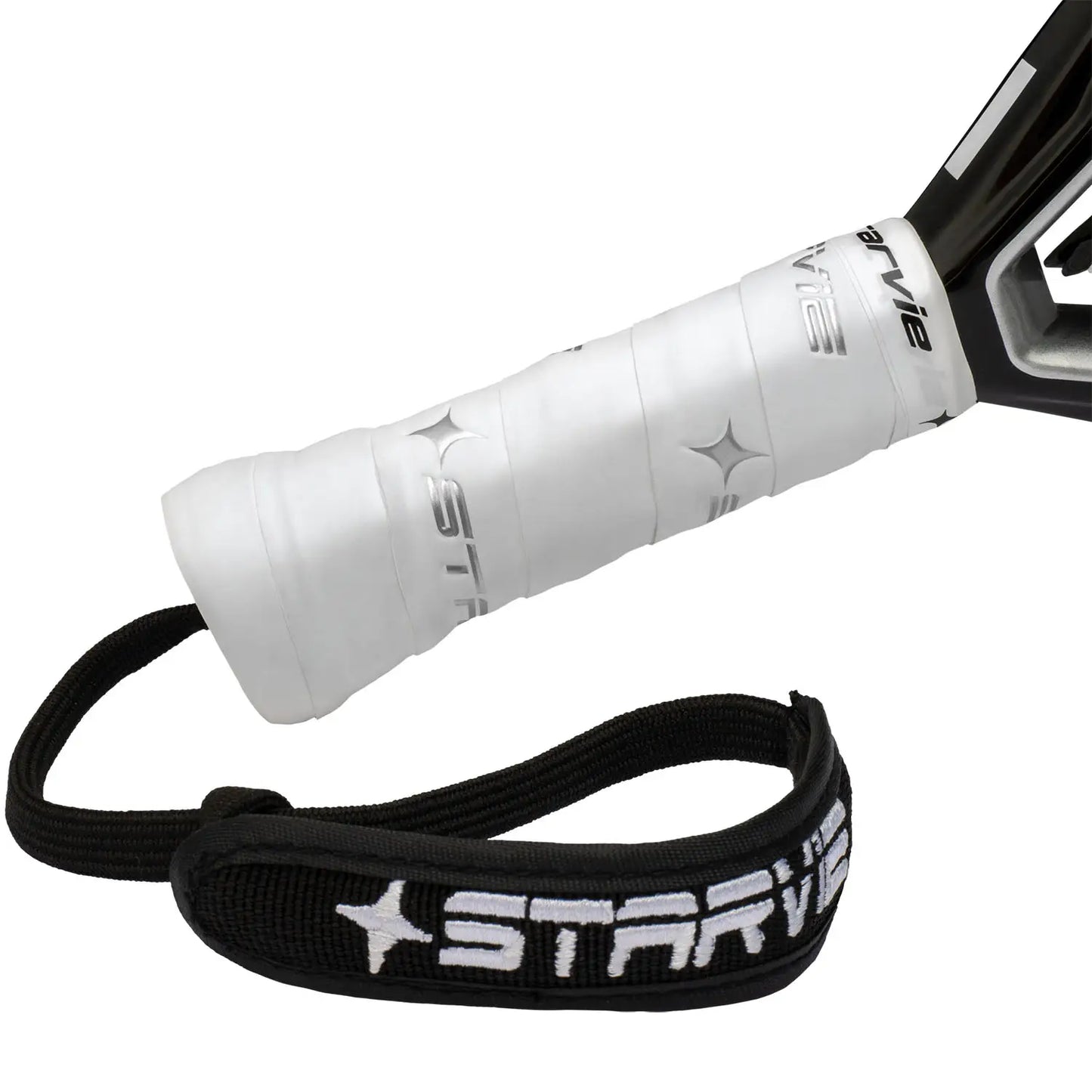 Starvie Raptor +