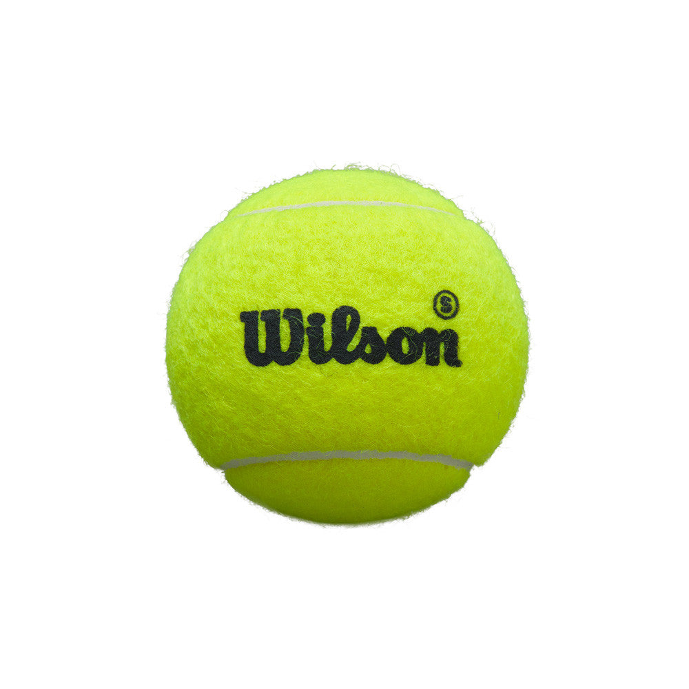Wilson Premiere Padel Speed Balls (1 bottle)